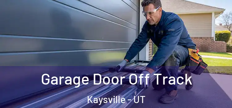  Garage Door Off Track Kaysville - UT