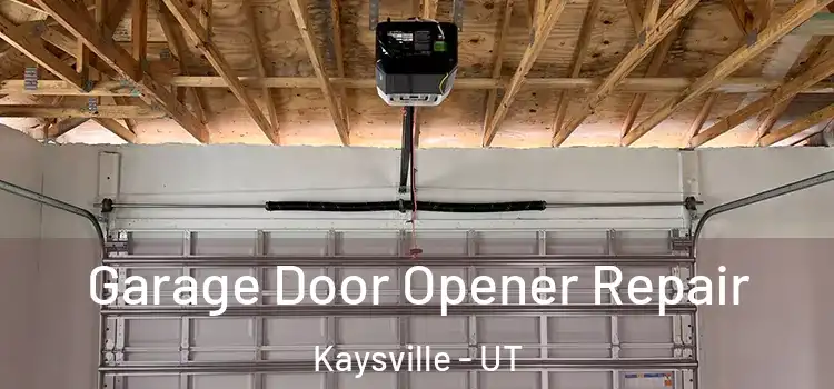  Garage Door Opener Repair Kaysville - UT
