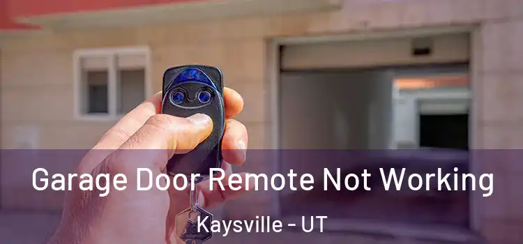  Garage Door Remote Not Working Kaysville - UT